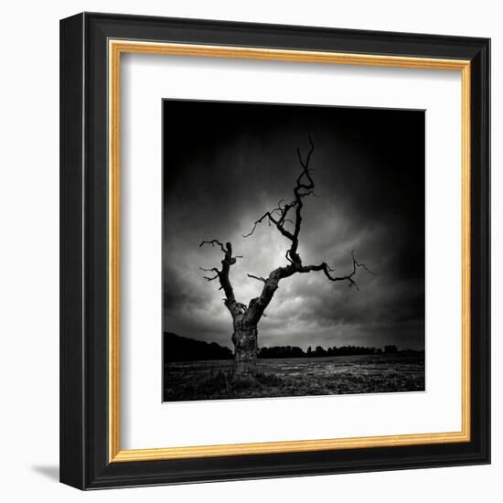 The Last Tree-Marcin Stawiarz-Framed Art Print