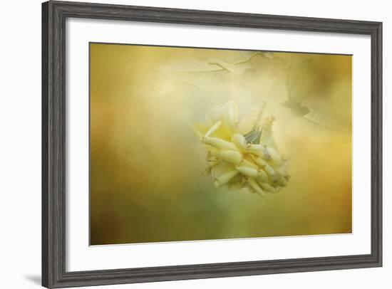 The Last Yellow Rose-Jai Johnson-Framed Giclee Print