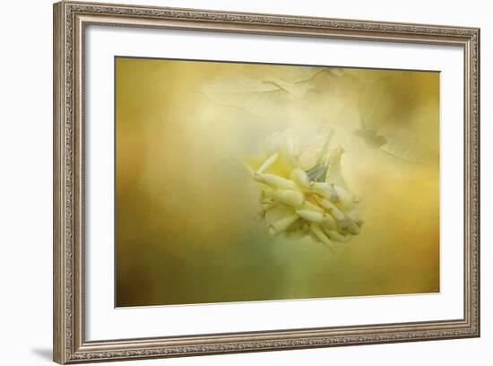 The Last Yellow Rose-Jai Johnson-Framed Giclee Print