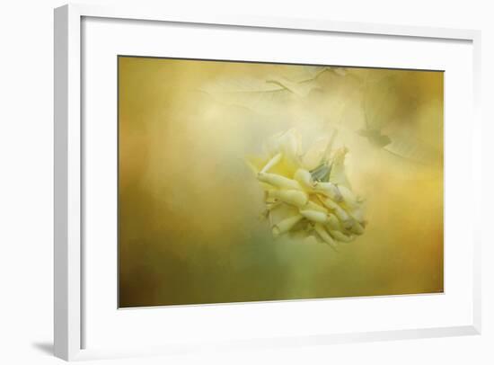 The Last Yellow Rose-Jai Johnson-Framed Giclee Print