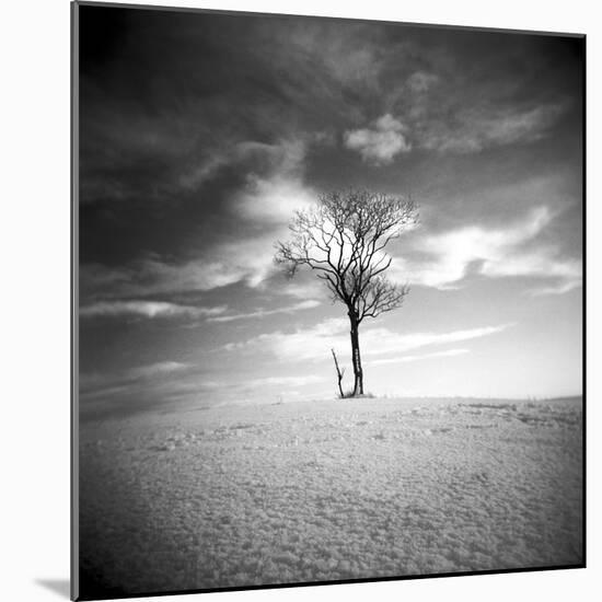 The Last-Craig Roberts-Mounted Photographic Print