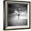 The Last-Craig Roberts-Framed Photographic Print