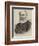 The Late Admiral Sir Baldwin Walker-null-Framed Giclee Print