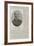 The Late Admiral Sir G G Wellesley, Distinguished Naval Officer-null-Framed Giclee Print