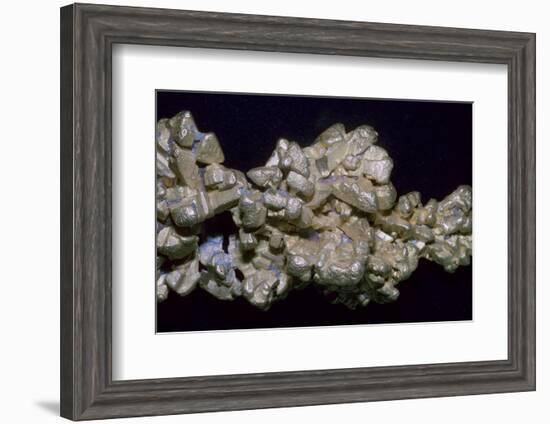 The Latrobe Gold Nugget. Artist: Unknown-Unknown-Framed Photographic Print