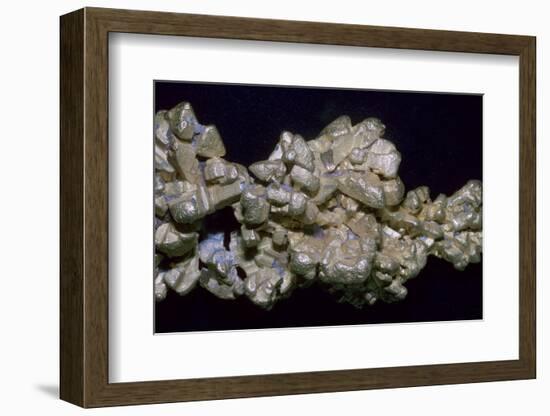 The Latrobe Gold Nugget. Artist: Unknown-Unknown-Framed Photographic Print