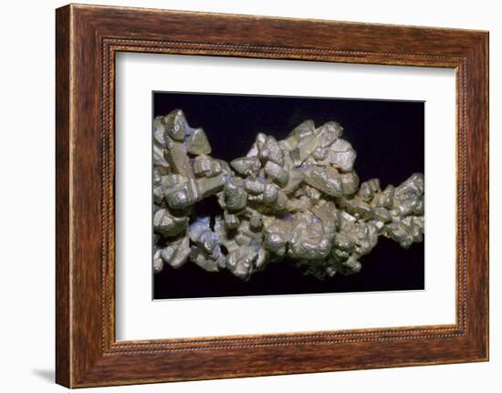 The Latrobe Gold Nugget. Artist: Unknown-Unknown-Framed Photographic Print