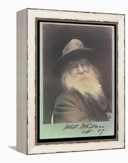 'The Laughing Philosopher', a Portrait of Walt Whitman (1819-91) September 1887-George C. Cox-Framed Premier Image Canvas