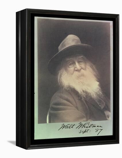 'The Laughing Philosopher', a Portrait of Walt Whitman (1819-91) September 1887-George C. Cox-Framed Premier Image Canvas