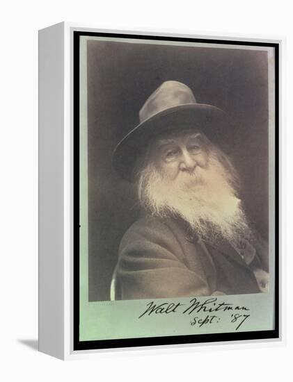 'The Laughing Philosopher', a Portrait of Walt Whitman (1819-91) September 1887-George C. Cox-Framed Premier Image Canvas