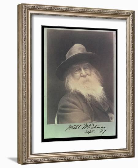 'The Laughing Philosopher', a Portrait of Walt Whitman (1819-91) September 1887-George C. Cox-Framed Photographic Print