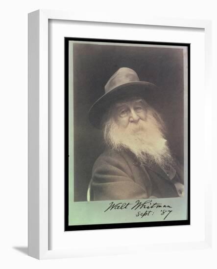 'The Laughing Philosopher', a Portrait of Walt Whitman (1819-91) September 1887-George C. Cox-Framed Photographic Print