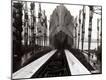 Premium Photographic Print