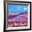 The Lavendar Fields-Caroline Duncan-Framed Giclee Print