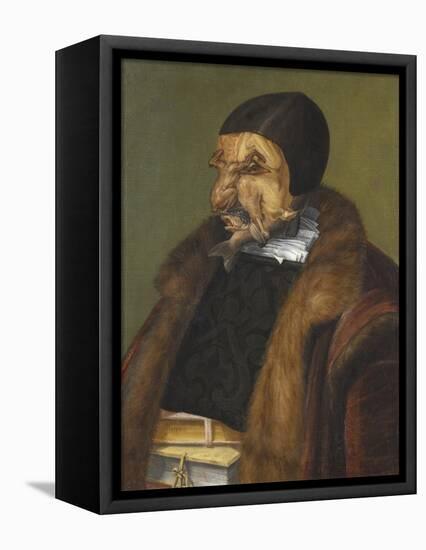 The Lawyer, 1566-Giuseppe Arcimboldo-Framed Premier Image Canvas