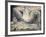 The Lazar House, 1795-William Blake-Framed Giclee Print