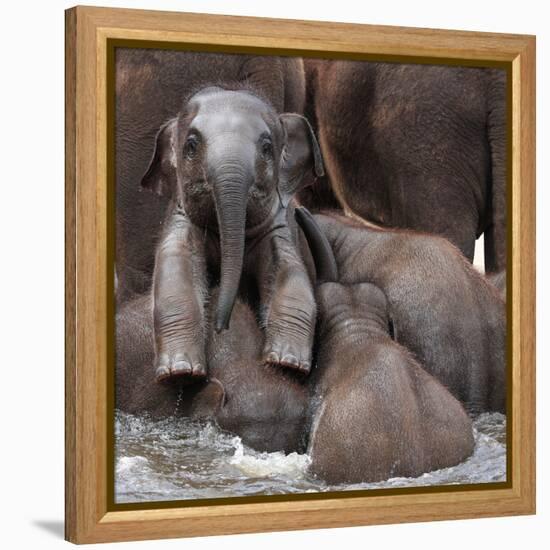 The Leader of Tomorrow-Antje Wenner-Framed Premier Image Canvas