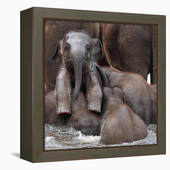 The Leader of Tomorrow-Antje Wenner-Framed Premier Image Canvas