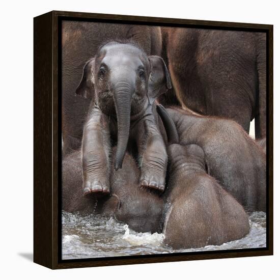 The Leader of Tomorrow-Antje Wenner-Framed Premier Image Canvas