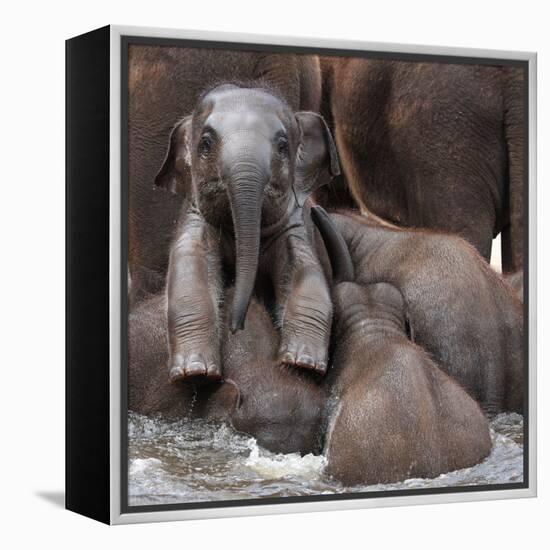 The Leader of Tomorrow-Antje Wenner-Framed Premier Image Canvas