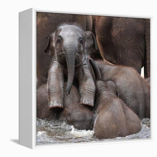 The Leader of Tomorrow-Antje Wenner-Framed Premier Image Canvas