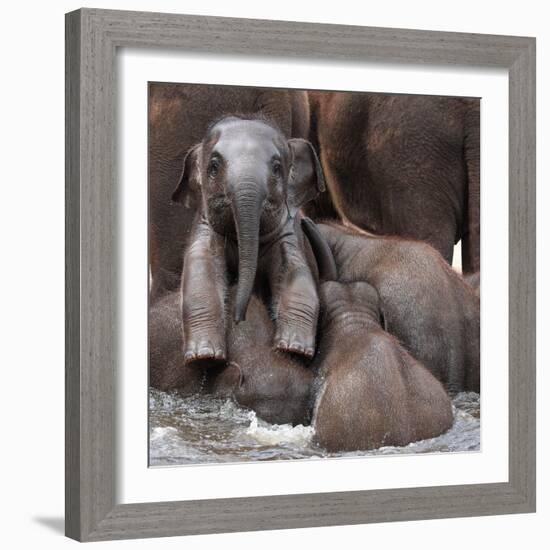 The Leader of Tomorrow-Antje Wenner-Framed Photographic Print