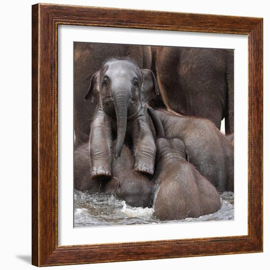 The Leader of Tomorrow-Antje Wenner-Framed Photographic Print