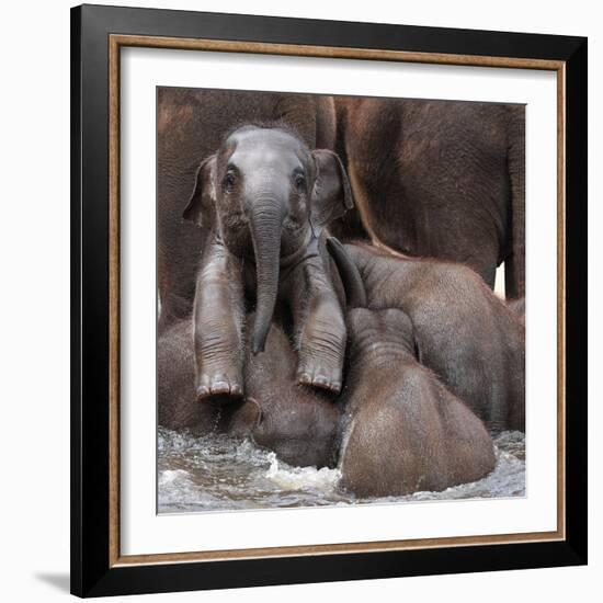 The Leader of Tomorrow-Antje Wenner-Framed Photographic Print