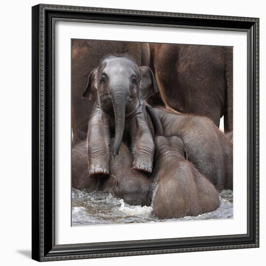 The Leader of Tomorrow-Antje Wenner-Framed Photographic Print