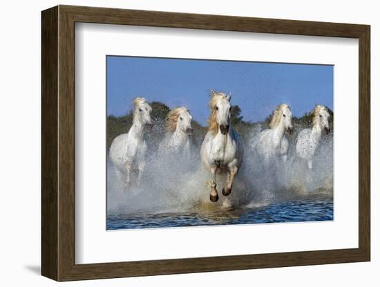 The leader-Xavier Ortega-Framed Photographic Print