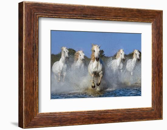 The leader-Xavier Ortega-Framed Photographic Print