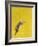 The Leap-Yellow-Tim Hayward-Framed Giclee Print