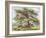 The Lebanon Cedar Tree in the Arboretum, Kew Gardens, Plate 21-George Ernest Papendiek-Framed Giclee Print