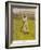 The Legendary Cricketer, Dr. W.G. Grace Poised with His Bat-null-Framed Photographic Print