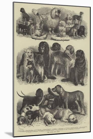 The Leipsic Dog Show-null-Mounted Giclee Print