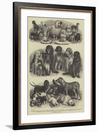 The Leipsic Dog Show-null-Framed Giclee Print