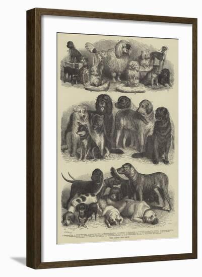 The Leipsic Dog Show-null-Framed Giclee Print