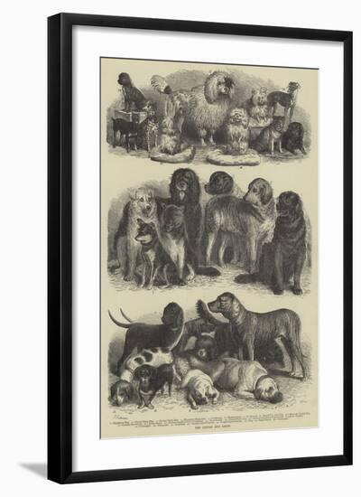 The Leipsic Dog Show-null-Framed Giclee Print