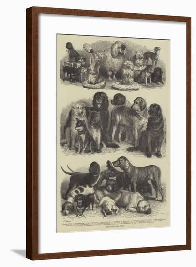 The Leipsic Dog Show-null-Framed Giclee Print