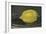 The Lemon, 1880-Edouard Manet-Framed Giclee Print