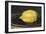 The Lemon (Le Citron)-Edouard Manet-Framed Art Print