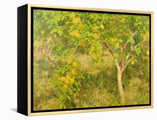 The Lemon Tree, 1893-Henry Scott Tuke-Framed Premier Image Canvas