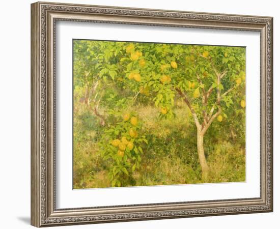 The Lemon Tree, 1893-Henry Scott Tuke-Framed Giclee Print