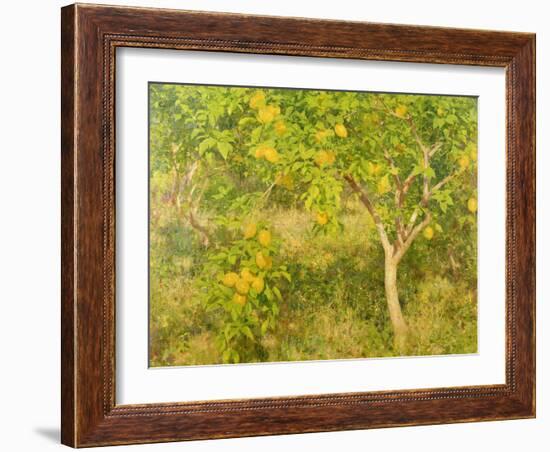 The Lemon Tree, 1893-Henry Scott Tuke-Framed Giclee Print