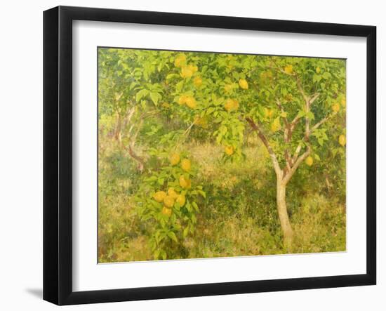 The Lemon Tree, 1893-Henry Scott Tuke-Framed Giclee Print