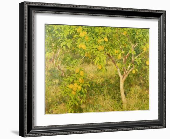 The Lemon Tree, 1893-Henry Scott Tuke-Framed Giclee Print