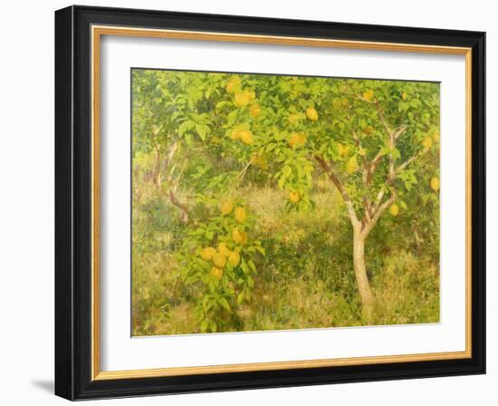 The Lemon Tree, 1893-Henry Scott Tuke-Framed Giclee Print