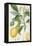 The Lemon Tree, Engraved by Dubois, C.1820-Pierre Jean Francois Turpin-Framed Premier Image Canvas