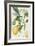 The Lemon Tree, Engraved by Dubois, C.1820-Pierre Jean Francois Turpin-Framed Giclee Print