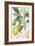 The Lemon Tree, Engraved by Dubois, C.1820-Pierre Jean Francois Turpin-Framed Giclee Print